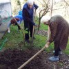 In Anaseuli Elderly house - the seed season was started